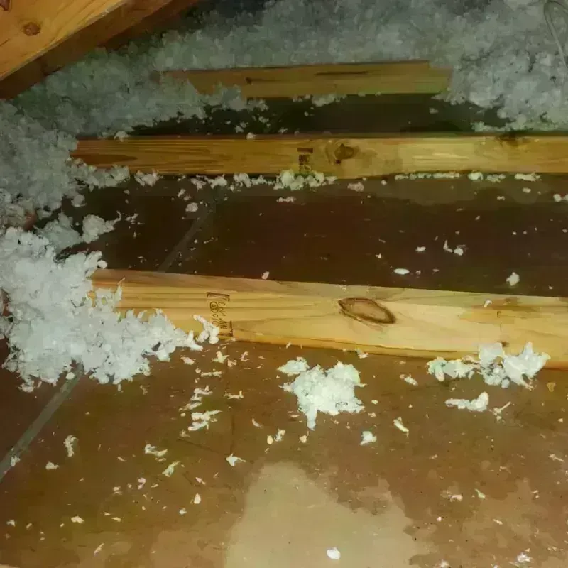 Attic Water Damage in City of Staunton, VA